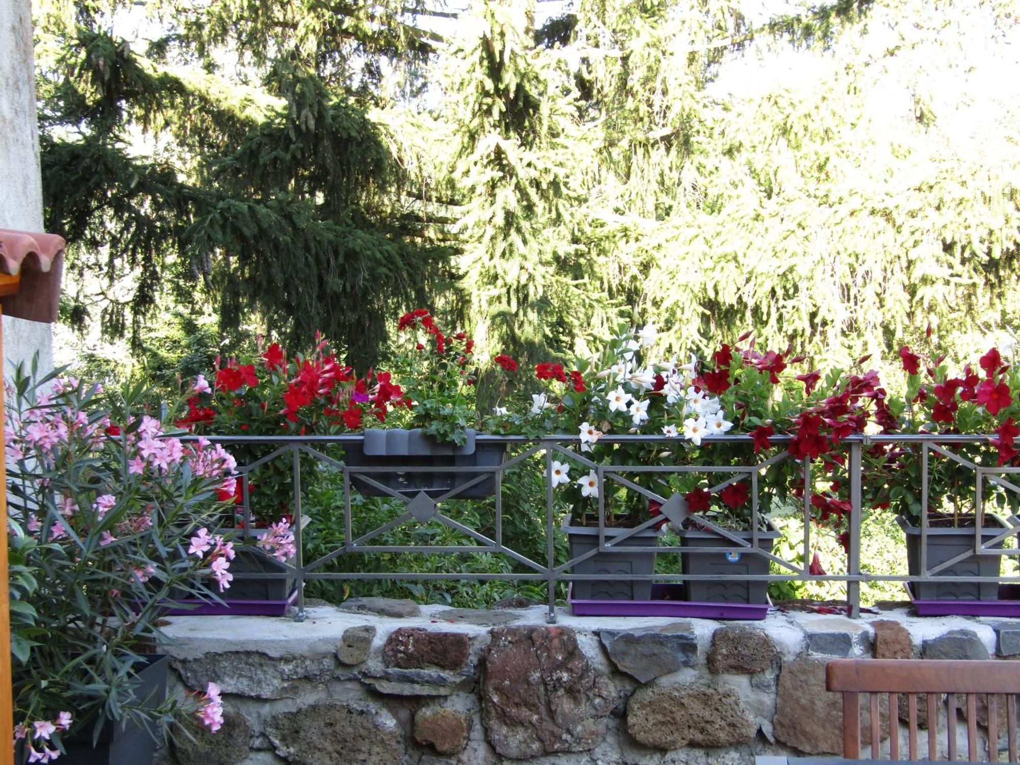 Gîte Saint-Vidal, 4 pièces, 6 personnes - FR-1-582-308 Esterno foto